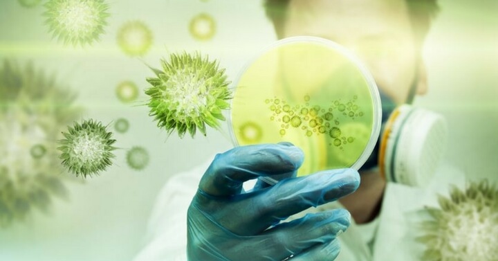 Você sabia? Cientistas detectam no Brasil bactéria resistente à maioria dos antibióticos