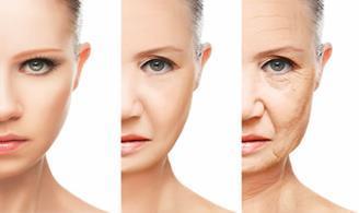 Envelhecimento - Alterações Fisiológicas
